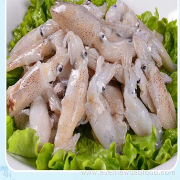 price of fresh frozen baby squid for wholesale